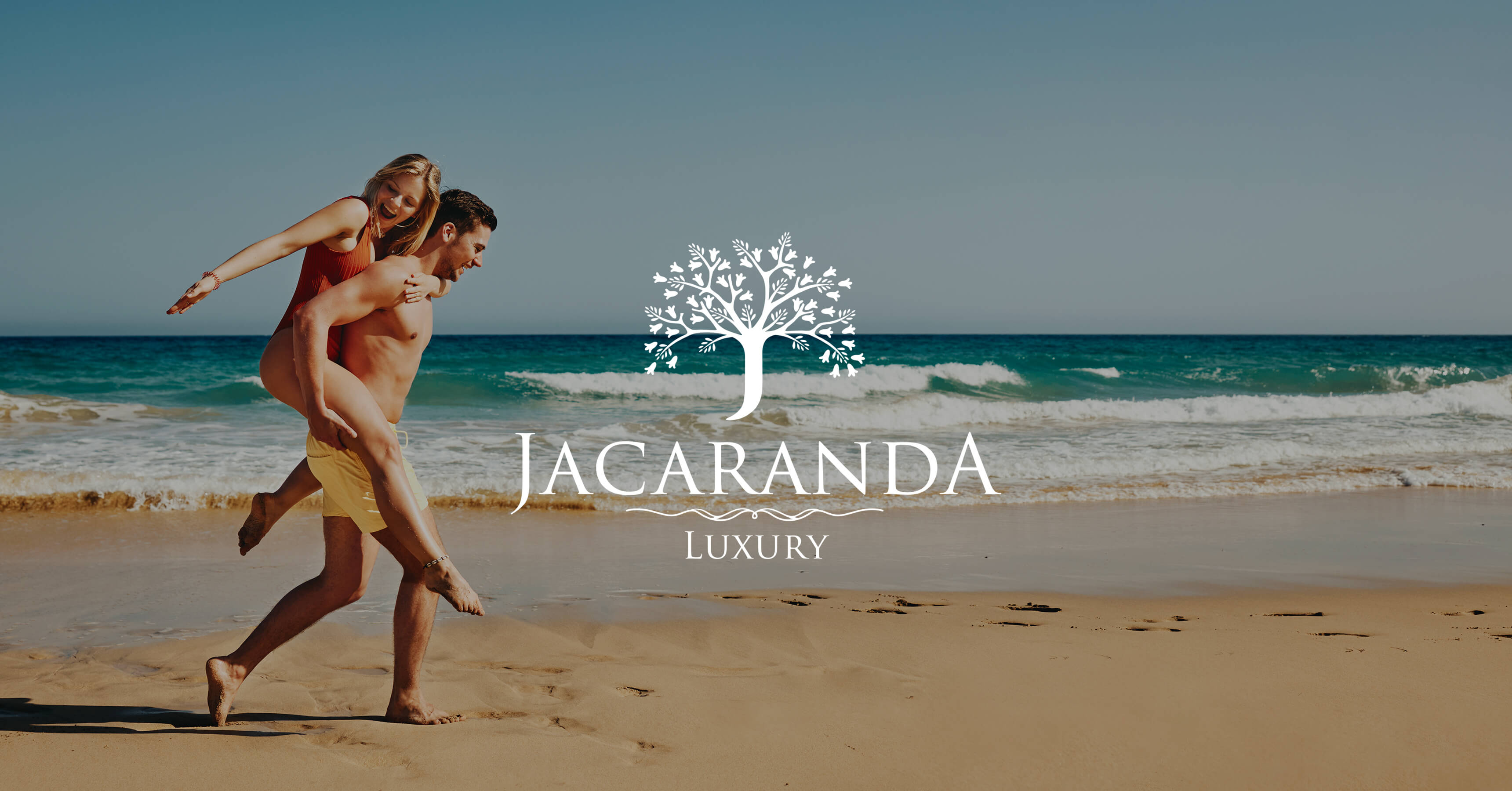 Jacaranda B